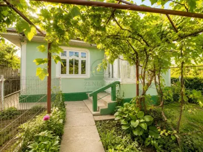 Casa 4 camere Raducaneni Iasi + 1600 mp intravilan - foto 2