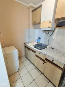 Garsoniera de inchiriat/ La Burdea - foto 4