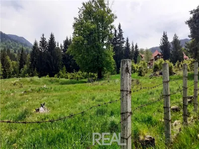 Vanzare teren Poiana Brasov - foto 2