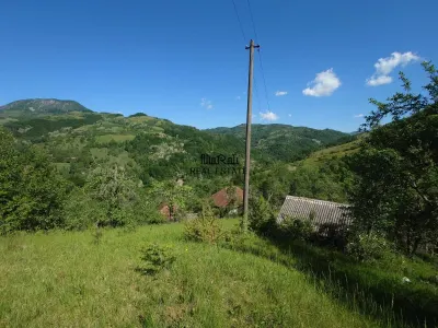 1,3 haTeren si cladiri in Blajeni - foto 15