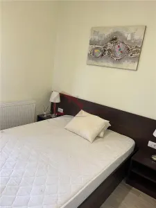 Apartament 2 camere zona PARCUL CIRCULUI-STEFAN CEL MARE - foto 8