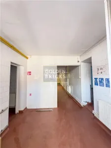 Bucur Obor | Spatiu de productie | Metrou 5 minute | Individuala - foto 20