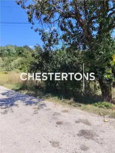 TEREN INTRAVILAN 1.736 MP | BOGATI, ARGES  |  30 km de Pitesti |deschidere  la  DC 60 - foto 4