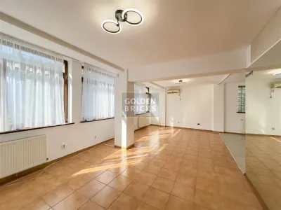 Aviatiei | N. Caramfil | curte spatioasa | Spatiu in vila pentru servicii - foto 12