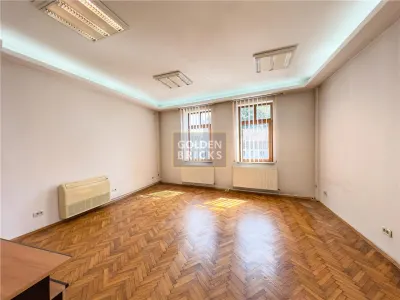 Spatiu pentru birouri sau servicii | Vilă reprezentativa | Unirii  Udriste Corneliu Coposu - foto 9
