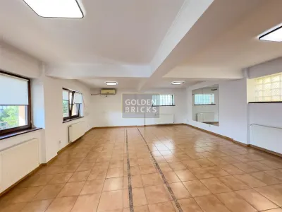 Aviatiei | N. Caramfil | curte spatioasa | Spatiu in vila pentru servicii - foto 2