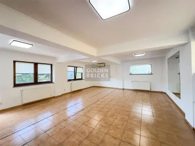 Aviatiei | N. Caramfil | curte spatioasa | Spatiu in vila pentru servicii - foto 3