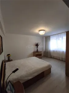 Vila Dristor- Ramnicu Sarat - foto 13