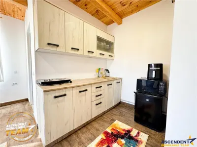 Proprietate premium cu SPA,sauna,casa oaspeti,teren 1.348 mp,acces padure, Sfantu Gheorghe,Simeria (Evergreen) - foto 42