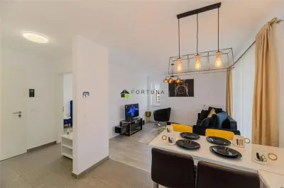 Studio modern - Kasper ,Tractorul - foto 6