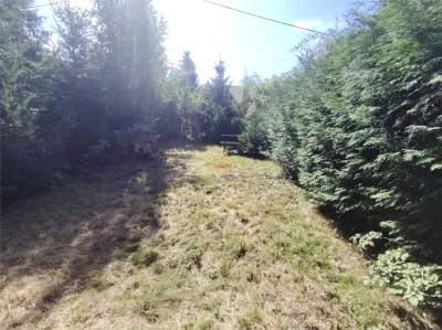 Casa de vacanta (Gheorgheni, zona km 4) - foto 20