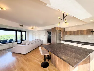 Apartament tip Penthouse de inchiriat 4 camere Soseaua Nordului - foto 7