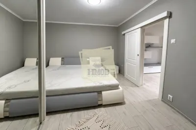 Apartament cu 2 camere etaj 1 in Vasile Aaron - foto 3