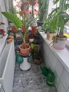 3 CAMERE, ETAJ 1, DECOMANDAT, CENTRALA TERMICA, ZONA SOARELUI! - foto 13