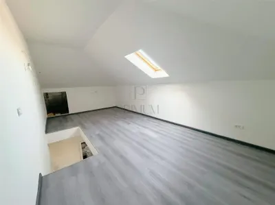 DUPLAX SPATIOS -  GATA DE MUTAT - ZONA USOR DE ACCESAT - foto 9