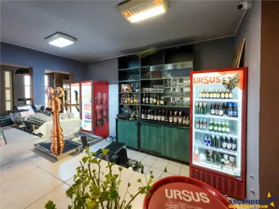 Potential imobiliar remarcabil, recomandat domeniului Petrolier si HoReCa, DN11, Reci, Covasna - foto 7
