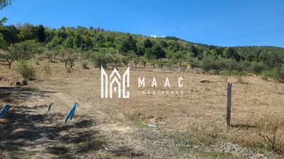 TEREN 5000 MP I SĂLIȘTE I PARCELABIL - Saliste