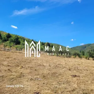 TEREN 5000 MP I SĂLIȘTE I PARCELABIL - foto 6