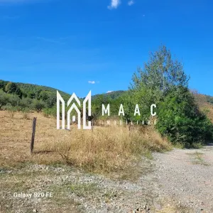 TEREN 5000 MP I SĂLIȘTE I PARCELABIL - foto 9