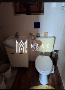 Teren extravilan 17.500 mp | Apoldu de Sus | cabană 46 mp - foto 6