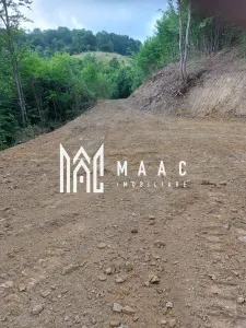 5000 teren in Muntii Apuseni I Pregatit pentru constructie - foto 14