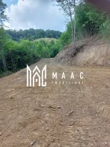 5000 teren in Muntii Apuseni I Pregatit pentru constructie - foto 16