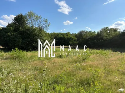 Teren intravilan 1100 mp | Valea Avrigului, Avrig | 21 m deschidere - foto 2