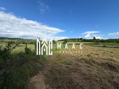 Teren intravilan 1750 mp | Hamba, Sibiu | utilități pe teren - foto 8