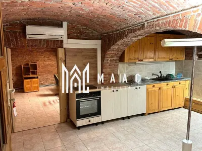 Casa Individuala | 8 camere | 6 bai | 300 mpu | Turnisor - foto 19