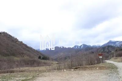 Teren Sebesul de Sus I 1100 mp I facilitati in apropiere - foto 3