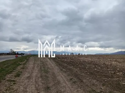 SELIMBAR I 4000 MP I INVESTITIE PARC FOTOVOLTAIC - foto 2