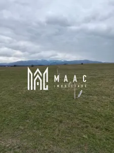 SELIMBAR I 4000 MP I INVESTITIE PARC FOTOVOLTAIC - foto 3