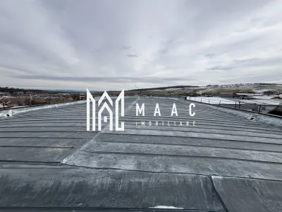 Hală industrială de vânzare I 1100 mp I Cisnadie - foto 11