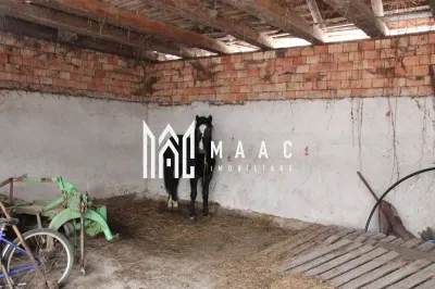 Fermă agricolă funcțională | Vurpar | 1.200 mp construiți | Utilaje disponibile - foto 10