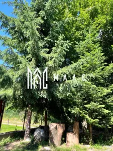 Pensiune Turistică | 360MPU | Curte | Oportunitate Investiție | Porumbacu de Sus - foto 21