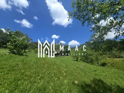 Teren | 2946MP | Priveliște Panoramică | Râu Sadului - foto 4