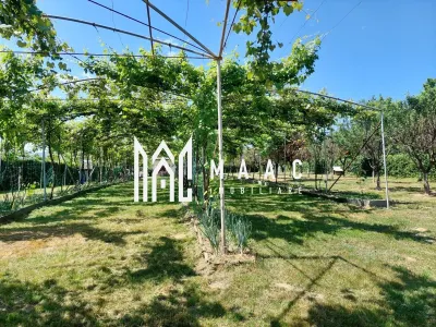 Teren | Intravilan 2.166 Mp | Construcție existenta |  Pădurea Dumbrava - foto 2