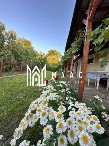 Casă tradițională I 100 mp utili I teren 1830 mp I Armeni I SIBIU - foto 14