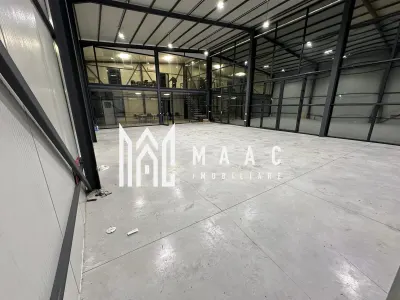 Hala | 250 MP |  Teren 3900 MP | - foto 2