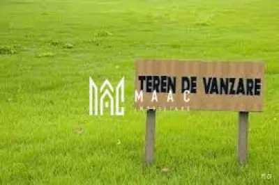 Investitie | Teren 19000 MP |  Zona Aeroport - foto 2
