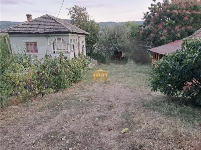Casă cu teren 1.149 mp, vie și pomi fructiferi - Nicolae Bălcescu - Nicolae Balcescu