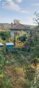 Casă cu teren 1.149 mp, vie și pomi fructiferi - Nicolae Bălcescu - foto 3