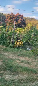 Casă cu teren 1.149 mp, vie și pomi fructiferi - Nicolae Bălcescu - foto 4