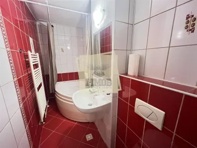 Apartament 3 camere 2 bai balcon si pivnita zona Terezian - foto 14